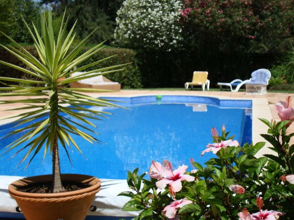 Pool Terrace Renovation in Lake Orion