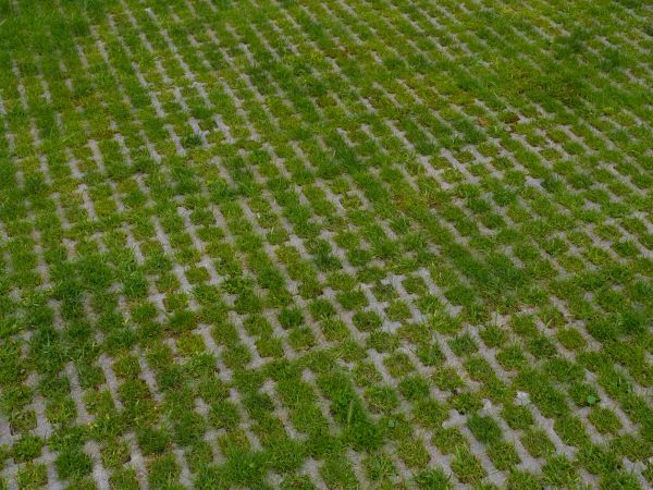 Permeable Pavement Service in Lake Orion
